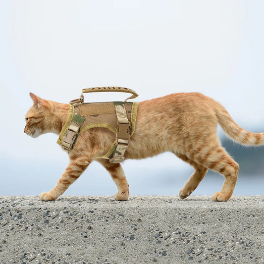 Tactical Cat Harness Vest Leash